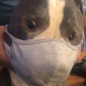 Meet your Posher, Beth